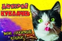 Мои любимые кошки