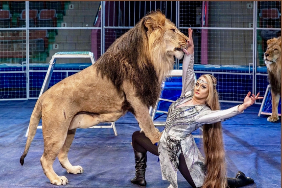 &TScy;&icy;&rcy;&kcy; "&Icy;&mcy;&pcy;&iecy;&rcy;&icy;&yacy; &mcy;&acy;&scy;&tcy;&iecy;&rcy;&ocy;&vcy;" &mcy;&kcy;&rcy;&ncy;&period; &Rcy;&ocy;&dcy;&ncy;&icy;&kcy;&icy;&comma; &gcy;&period; &Ncy;&ocy;&vcy;&ocy;&scy;&icy;&bcy;&icy;&rcy;&scy;&kcy;