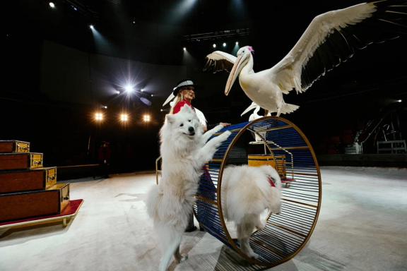 &TScy;&icy;&rcy;&kcy; &Fcy;&icy;&lcy;&acy;&tcy;&ocy;&vcy;&ycy;&khcy;