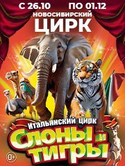 Итальянский цирк: Слоны и тигры