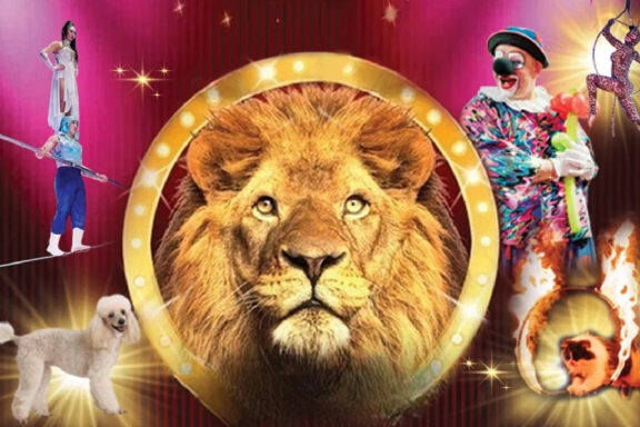 &TScy;&icy;&rcy;&kcy; "&Icy;&mcy;&pcy;&iecy;&rcy;&icy;&yacy; &mcy;&acy;&scy;&tcy;&iecy;&rcy;&ocy;&vcy;" &mcy;&kcy;&rcy;&ncy;&period; &Rcy;&ocy;&dcy;&ncy;&icy;&kcy;&icy;&comma; &gcy;&period; &Ncy;&ocy;&vcy;&ocy;&scy;&icy;&bcy;&icy;&rcy;&scy;&kcy;