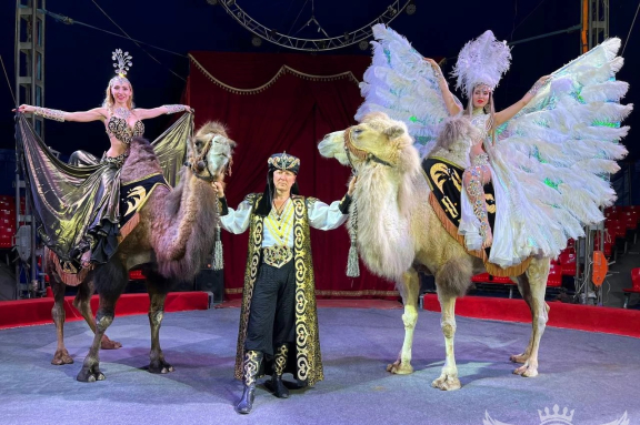 &TScy;&icy;&rcy;&kcy; "&Gcy;&rcy;&acy;&fcy; &Ocy;&rcy;&lcy;&ocy;&vcy;" &gcy;&period; &Ncy;&ocy;&vcy;&ocy;&scy;&icy;&bcy;&icy;&rcy;&scy;&kcy;&comma; &mcy;&kcy;&rcy;&ncy;&period; &Rcy;&ocy;&dcy;&ncy;&icy;&kcy;&icy;