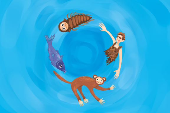 Эволюция, или Откуда я взялся