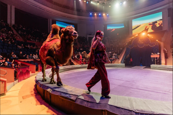 &TScy;&icy;&rcy;&kcy; &Fcy;&icy;&lcy;&acy;&tcy;&ocy;&vcy;&ycy;&khcy;