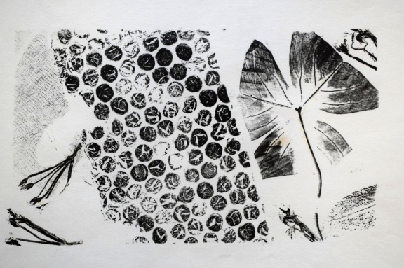 Профи-урок «Печатная графика»