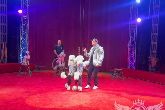 &TScy;&icy;&rcy;&kcy; "&Gcy;&rcy;&acy;&fcy; &Ocy;&rcy;&lcy;&ocy;&vcy;" &gcy;&period; &Ncy;&ocy;&vcy;&ocy;&scy;&icy;&bcy;&icy;&rcy;&scy;&kcy;&comma; &mcy;&kcy;&rcy;&ncy;&period; &Rcy;&ocy;&dcy;&ncy;&icy;&kcy;&icy;