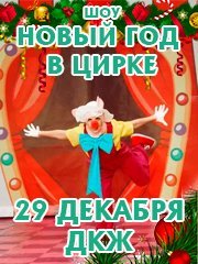 Шоу «Новый год в цирке»