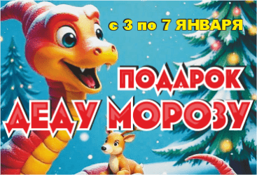 Новогоднее шоу "Подарок Деду Морозу"