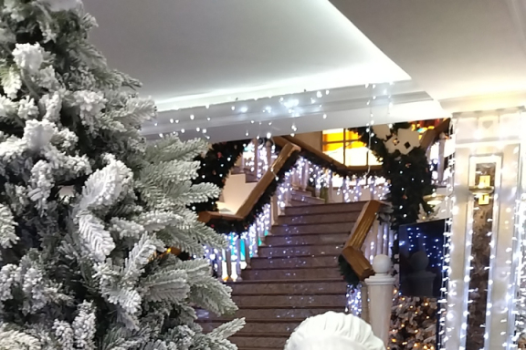 Счастливого Нового Года или жили-были кролики