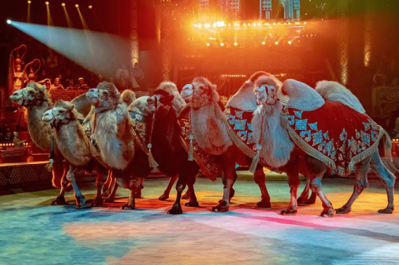 &Pcy;&iecy;&scy;&chcy;&acy;&ncy;&acy;&yacy; &scy;&kcy;&acy;&zcy;&kcy;&acy;