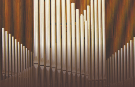 &Ocy;&rcy;&gcy;&acy;&ncy; &icy; &vcy;&acy;&rcy;&gcy;&acy;&ncy;