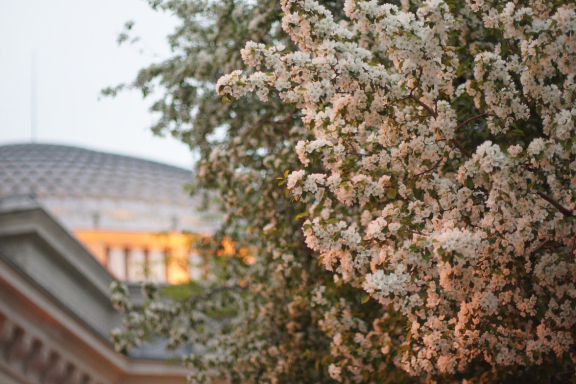 &Scy;&lcy;&acy;&vcy;&ncy;&ycy;&jcy; &mcy;&acy;&jcy;