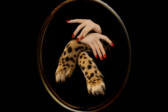 Ловушка для одинокого мужчины